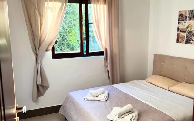 Apartmani Viki