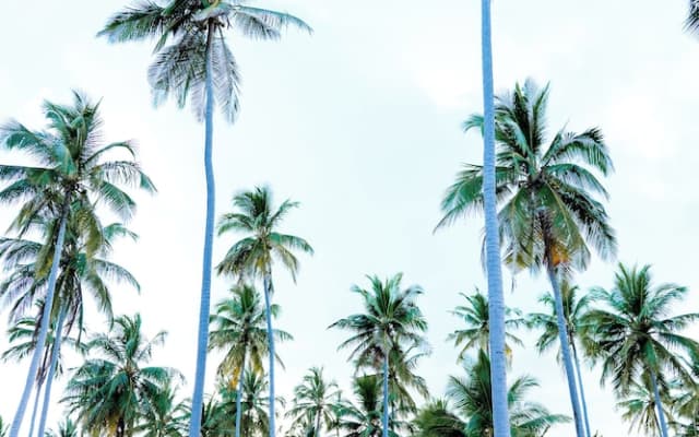 Kanga Beach Paradise