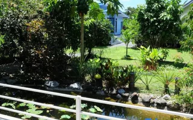 Binlar Home