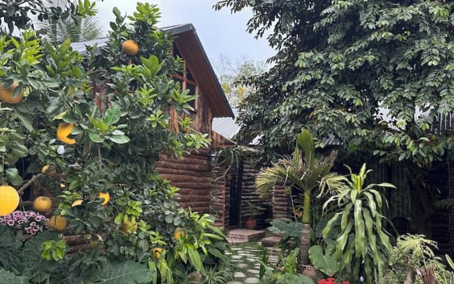 Wood Haven Homestay