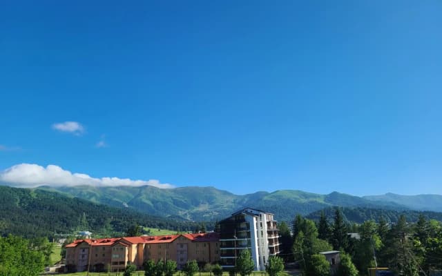Bakuriani City Panorama Flat