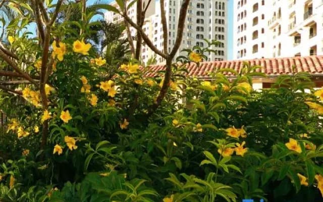 Hello Ocean View Homestay (Qionghai Boao Branch)