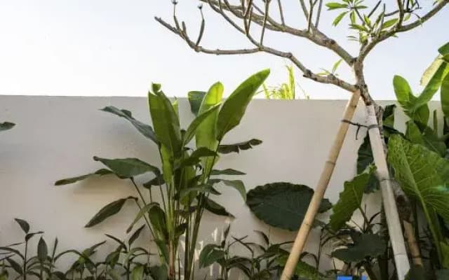Villa Bowa 1 by BaliSuperHost