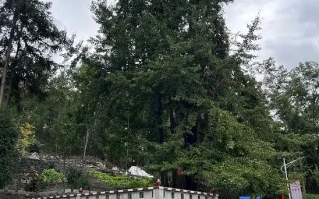 Badong Qingqingshu Homestay (Yesanguan Shunjing Xiandaicheng)