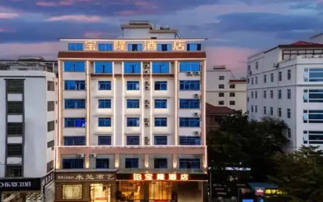 Baolong Business Hotel (Oriental High-speed Railway Station)