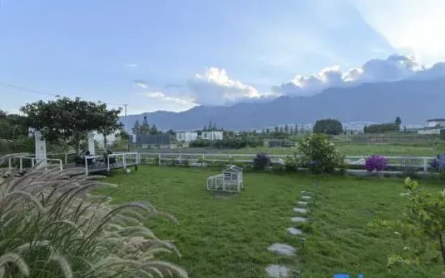 See the green mountains again