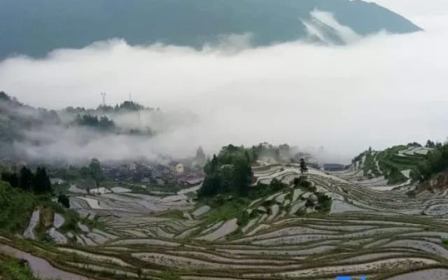 Jingya Shuju Farmhouse