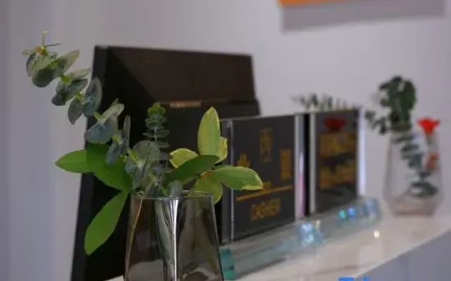 Shanwang Shanjian Homestay (Xuanneng Gongxiu Cruise House)