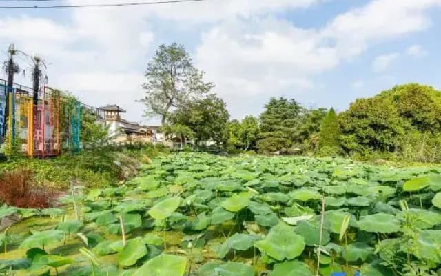 Yangzhou Hongyang Homestay