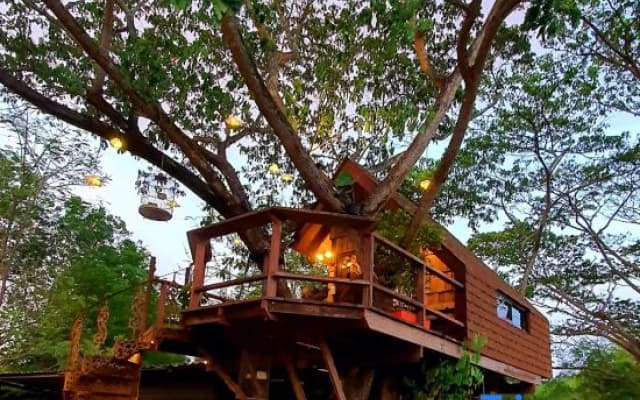 Kenaray Farmstay Riverside