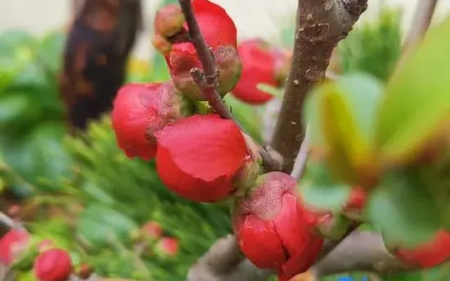 Xianju Pushe Homestay