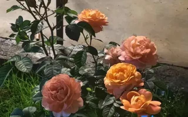 Yinhe Boutique Stay (Lushan Donglin Dafu Southeast Gate)
