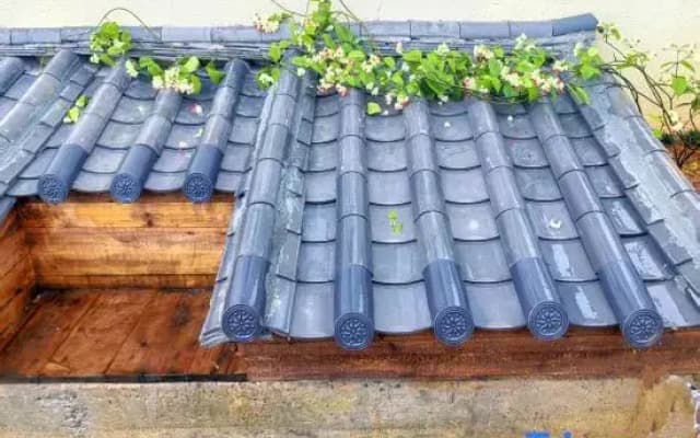 Mangshi Nicai Homestay (Dai Ancient Town)