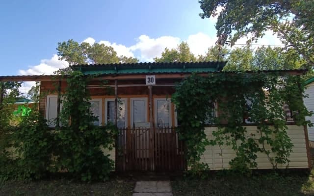 Белый лебедь