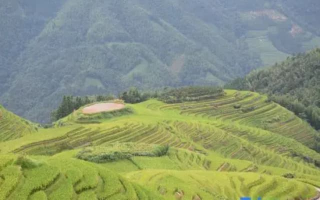 Longsheng Qishanyue Homestay (Qixing Banyue Viewing Platform)