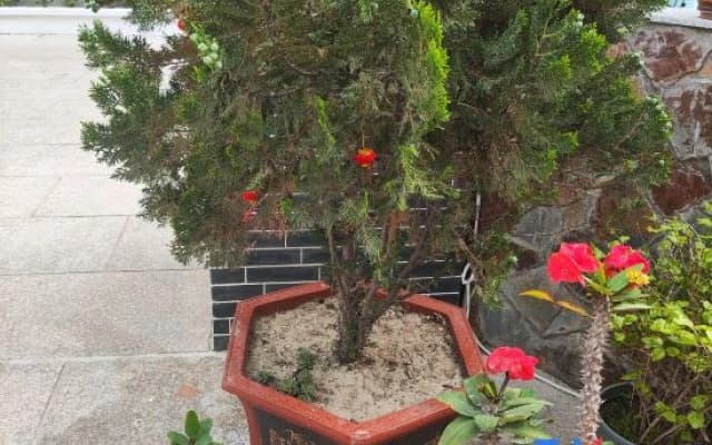 Meizhou Island Qingfeng Cottage Guesthouse (Lianchi'ao Beach Branch)