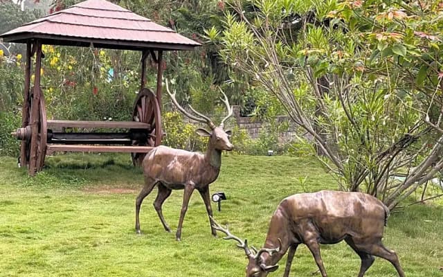 Habba Kadal Kashmiri Heritage Hotel  Hub