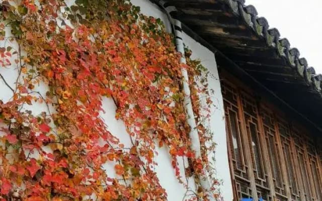 Cedar House B&B