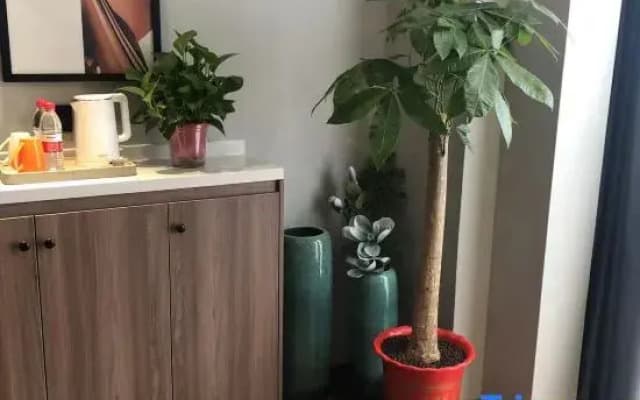 Morninginn hotel （zhuzhou avenue shangge plaza）