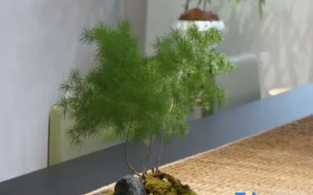 Zhengding Jiaoye Art Homestay