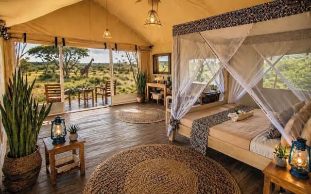Africa Safari Serengeti Kogatende