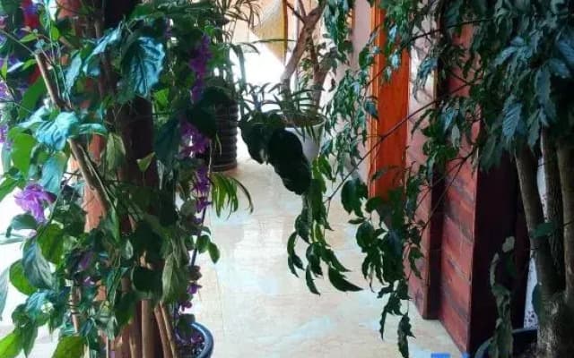 Puzhehei Anyi Jiayuan Homestay