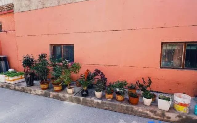 Lanyaju Homestay (Liuxing Street Store)