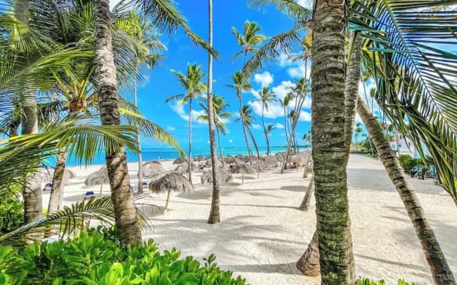 PUNTA CANA Paradise Studios BEACH POOL