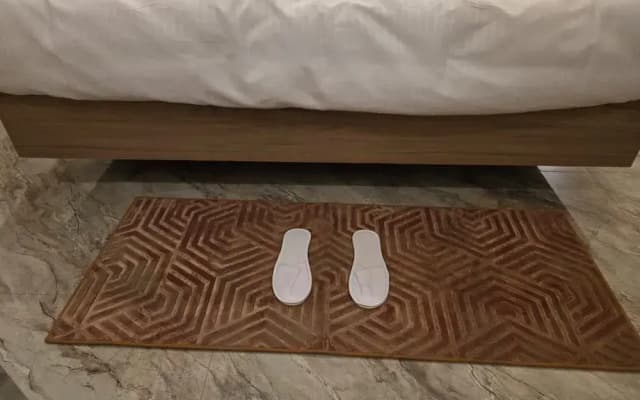 The Manthan Hotel - City View