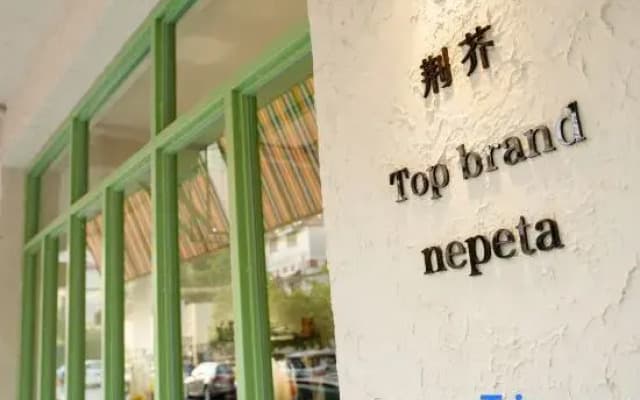 Topbrand Herba Schizonepetae