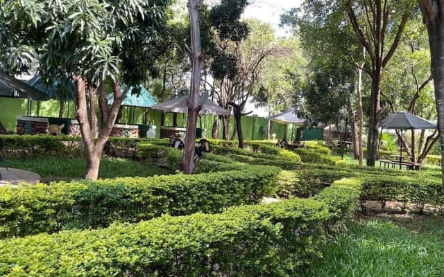 Jungle Green Resort - Kiutine