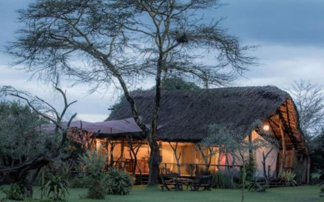 Ekorian's Mugie Camp