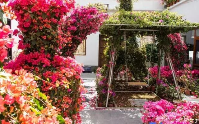 Beijing Hua Jian Zui Homestay (Beijing Tongzhou Global Resort Branch)