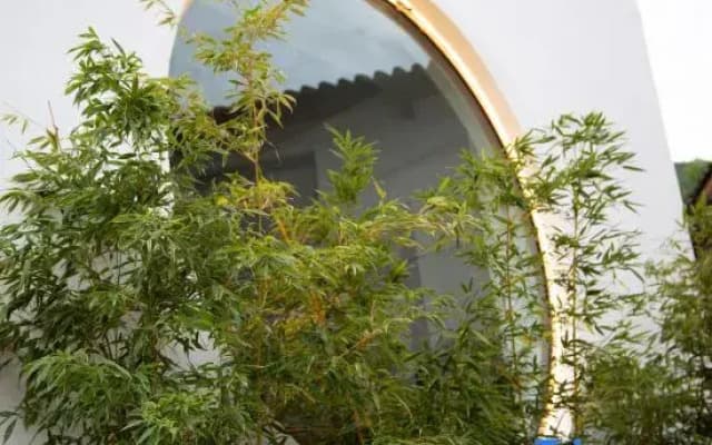 Yueshan Xin‘anchu Guesthouse