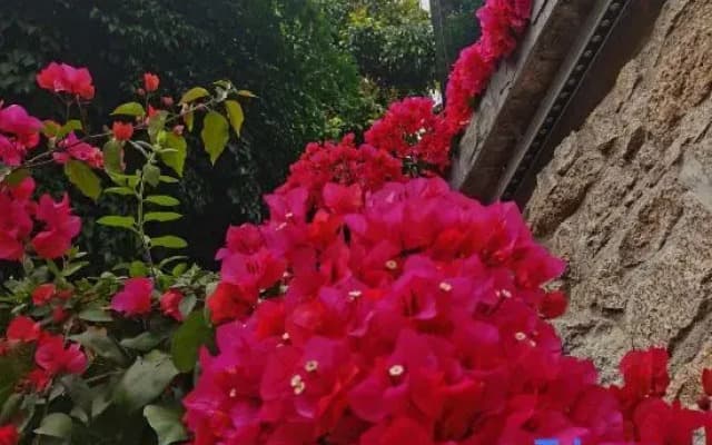 Taishan Yuhaixin homestay