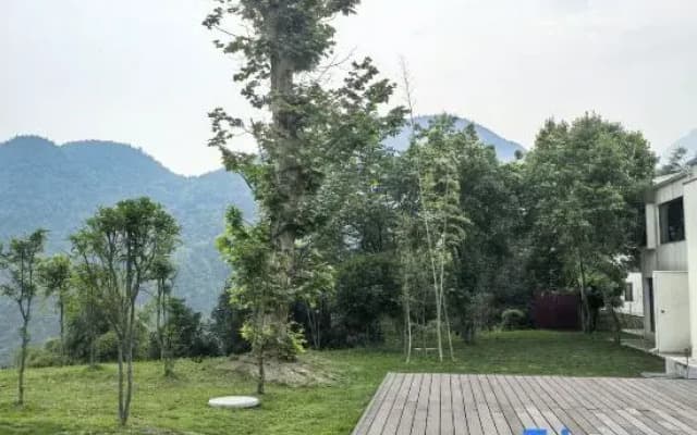 Yunli Chanyang Homestay (Jinfo Mountain)
