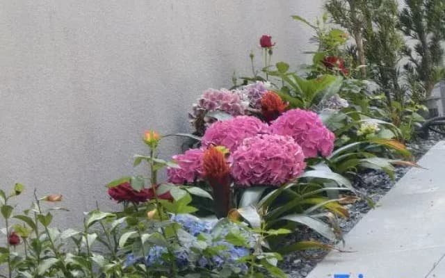 Shanyitang Mountain and Water Resort Villa, Wuyishan City