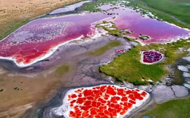 Zhongwei Star Guide | Parent-Child Study Tour | Desert Lakes | Five Lakes Crossing | Camping Base