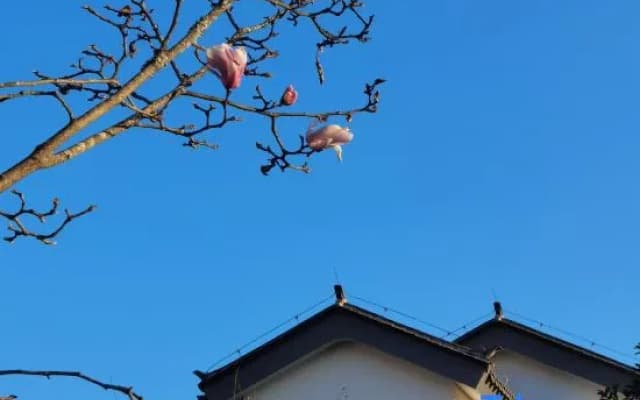 Tianmu Anqing Hot Spring Villa