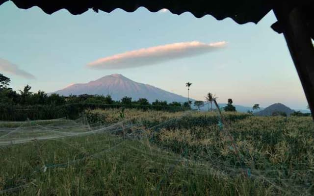 Darmawan Homestay