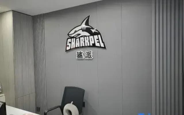 Shapai Homestay (Meihekou Northeast Nightless City Hailong Lake)