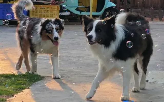 Runisuoyuan Homestay