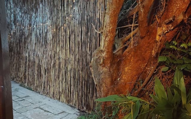 Cozy Guestrooms in Midrand 1