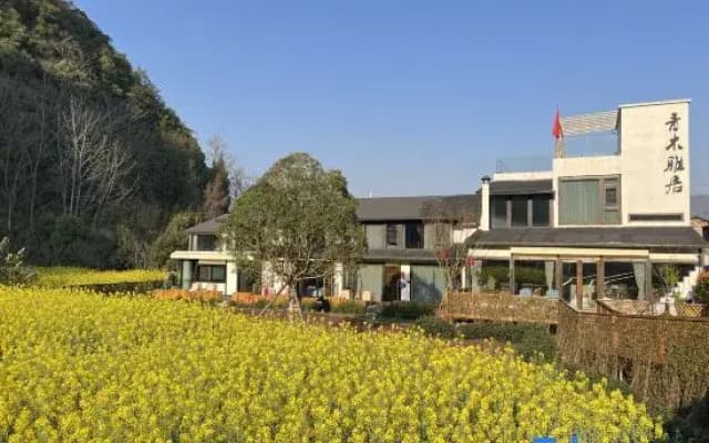 Xingyi Wanfeng Forest Aoki Yaju