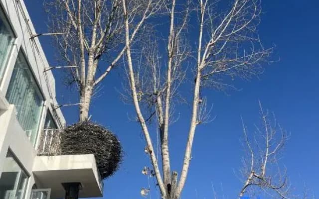 Dali · Lingyulan | DaLi Spring Mountain · Designer's Mountain-View Homestay (Cangshan Branch)