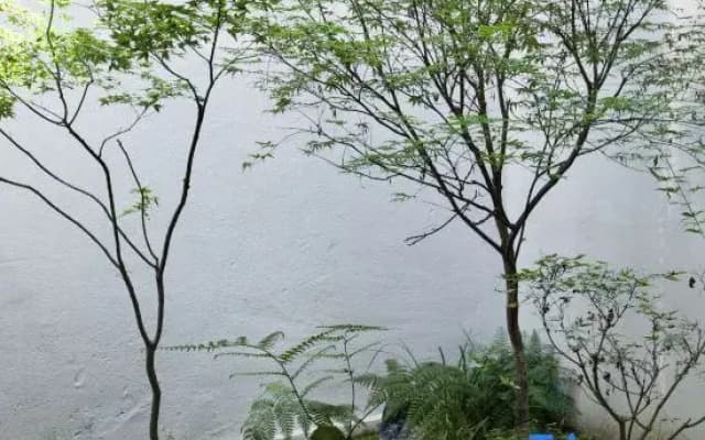 Ruyuan Homestay (Sansuci)