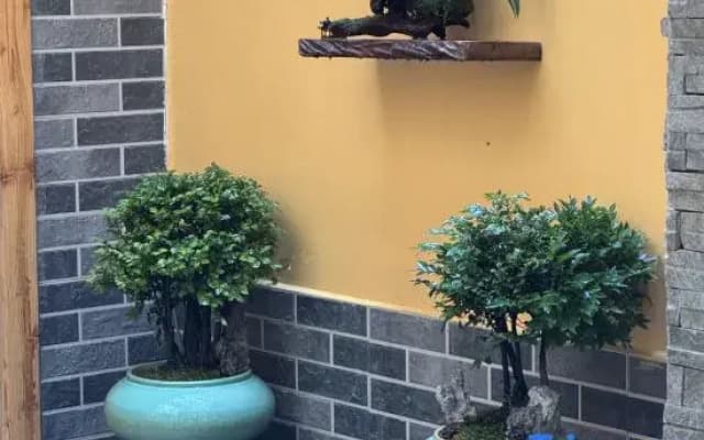 Shunde Aotouju Homestay