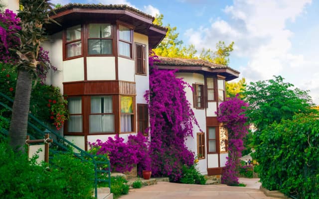 Отель Club & Hotel Letoonia