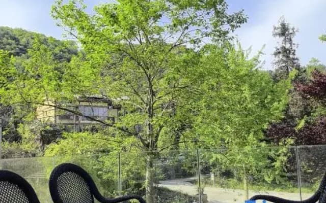 Emeishan Lihao Boutique Homestay (Emei Xueyaya Production Base Store)