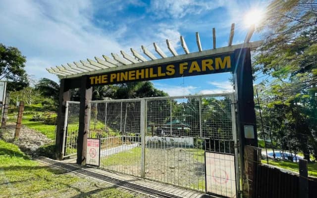 1193 Pinehall Farm Rizal